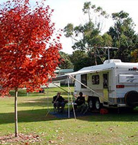 Lake Sambell Caravan Park Beechworth Grass powered and unpowered camp sites with camp fire pits